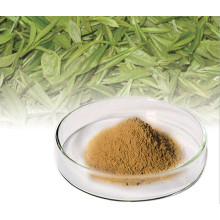 The Polyphenols in Tea Tea Polyphenol